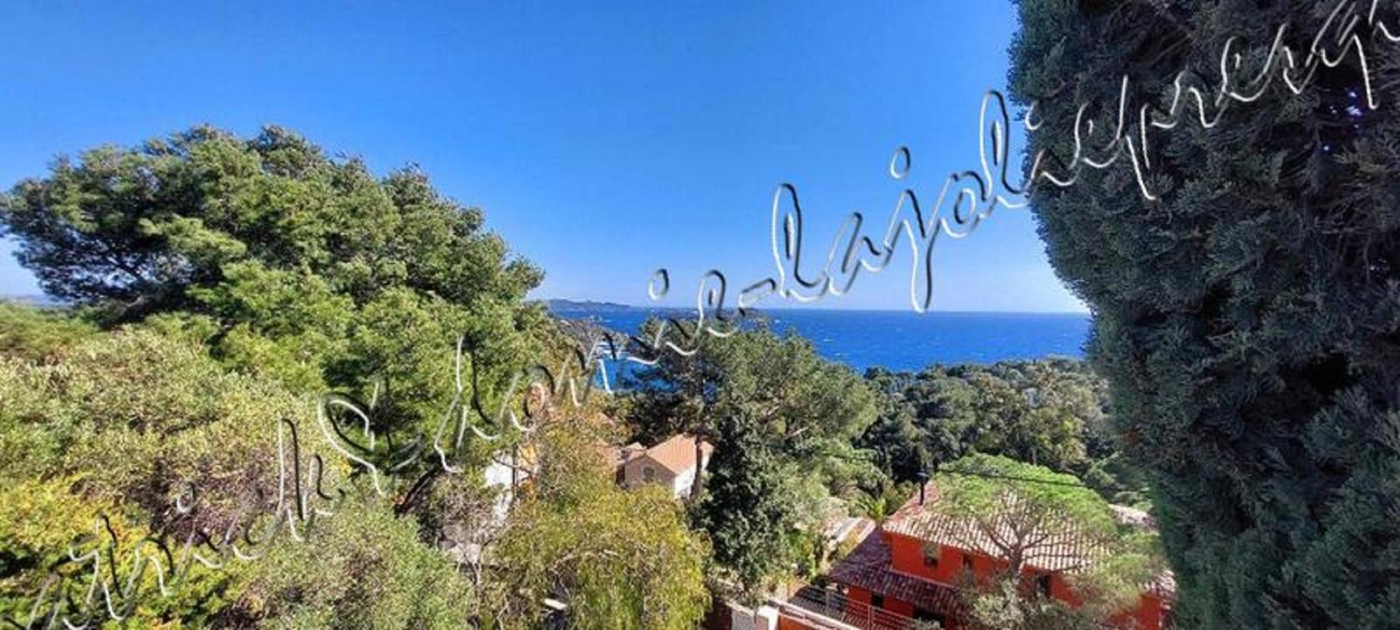Magnifique Parc De La Presqu'Ile Avec Piscine Et Plage Face A Porquerolles ! Hyères Buitenkant foto