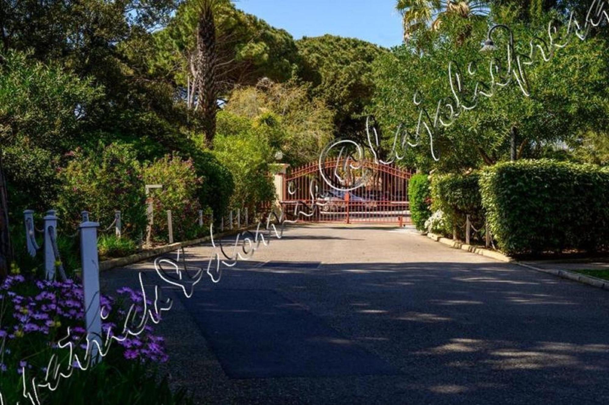 Magnifique Parc De La Presqu'Ile Avec Piscine Et Plage Face A Porquerolles ! Hyères Buitenkant foto