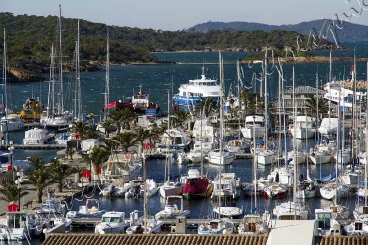 Magnifique Parc De La Presqu'Ile Avec Piscine Et Plage Face A Porquerolles ! Hyères Buitenkant foto
