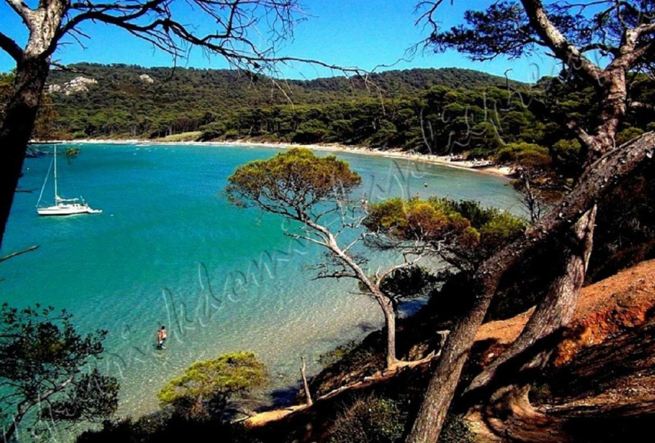 Magnifique Parc De La Presqu'Ile Avec Piscine Et Plage Face A Porquerolles ! Hyères Buitenkant foto