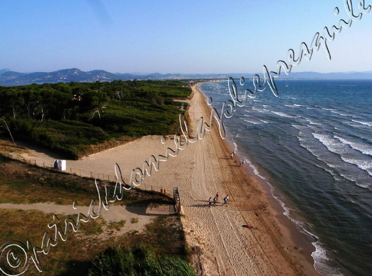 Magnifique Parc De La Presqu'Ile Avec Piscine Et Plage Face A Porquerolles ! Hyères Buitenkant foto